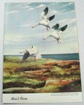 1948 Magazine Picture Ross&#39;s Goose #29 in Series Illustrated by Angus H.... - £12.87 GBP