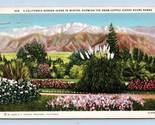 A California Garden Scene In Winter Sierra Madre CA Linen Postcard D16 - $3.91