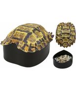 Nautical Reptile Realistic Elongated Tortoise Shell Decorative Box Figur... - €40,11 EUR