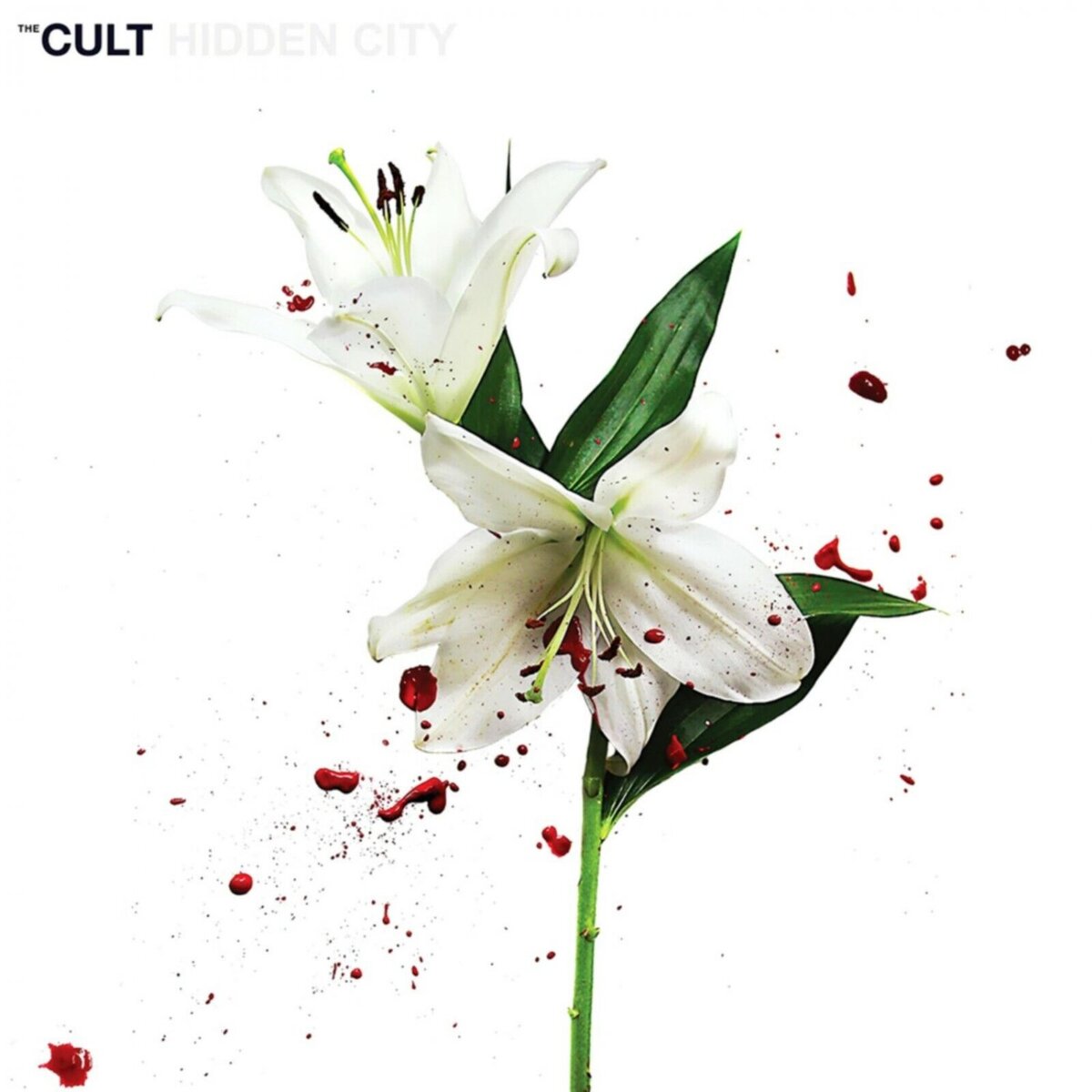 The CULT Hidden City BANNER HUGE 4X4 Ft Fabric Poster Tapestry Flag albu... - $22.00