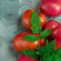 Dwarf Peppermint Stripes Tomato Seeds (5) - Vibrant Striped, Container Friendly, - £5.59 GBP