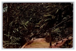 Pathway To Katoomba Falls Blue Mountains National Park Australia DB Postcard Y6 - £4.61 GBP
