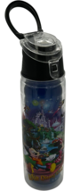 Walt Disney World double wall insulated BPA free water bottle Mickey &amp; M... - $125.06 MXN
