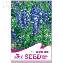 Beautiful Blue Flower Sage Original Package 30 seeds - $8.98