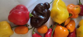 Item image 13