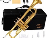 Glory Bb Trumpet-Gold Gloves, Case, And Trumpets For Novice Or Experienced - $142.92