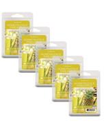 Honeysuckle Pineapple Scented Wax Melts, ScentSationals, 2.5 oz | 5 PACK - $34.17 CAD