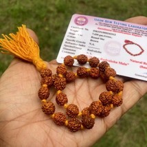 Lab Certified Natural 5 Mukhi Rudraksha Rudraksh Mala Rosary 27+1 Prayer Beads - £10.11 GBP