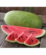 100 Seeds Charleston Grey Heirloom Watermelon - £12.64 GBP