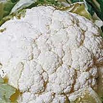 Cauliflower Seed, Snowball Y, Heirloom, Non GMO, 50 Seeds, Large, Delicious and  - £3.53 GBP