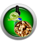 Ginger Root Tincture (Zingiber officinale) Alcohol Extract - High Concen... - $280.86 MXN+