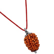 3 Tres Mukhi Rudraksha Colgante En Plata Pura Calidad A+ India Origen Energizado - £14.37 GBP