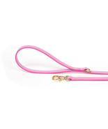 Dog Leash Bechiva Basic - $24.00