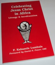 Celebrating Jesus Christ in Africa: Liturgy &amp; Inculturation (Book NEW) C... - £18.67 GBP