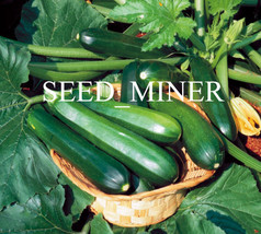 Grow In US Squash Zucchini Dark Green 20 Vegetable Seed Organic Heirloom Non-Gmo - £5.92 GBP
