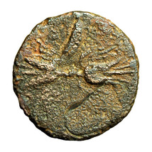 Ancient Greek Coin Agathokles Syracuse Sicily AE13mm Athena / Thunderbolt 03909 - £19.10 GBP
