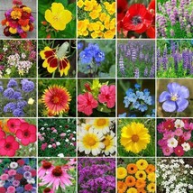 Wildflower Mix ALL HEIRLOOM Perennials &amp; Annuals 25 Species Non-GMO 1000+ Seeds! - £5.96 GBP