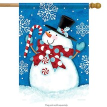 Happy Snow Guy House Flag - 2 Sided Message, 28&quot; x 40&quot; - £22.08 GBP