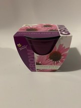 Buzzy Coneflower Growing Kit New #3050 - $11.76