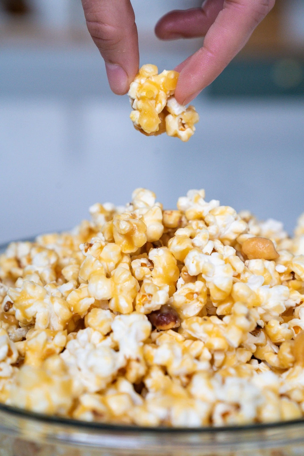 XL Amish Caramel Type Popcorn Seeds (50) / DELICIOUS / Rare - $12.39