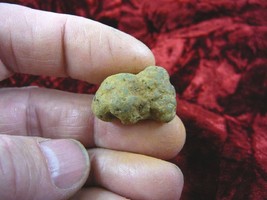 (PP450-10) 1&quot; Genuine Fossil Turtle Poop Coprolite Dung Weird Washington State - £8.17 GBP
