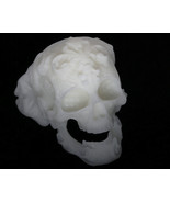 3D Printed Skull Ring DLP Resin Form2 G3D T-1000 Test Sample 3d-printing... - $4.99