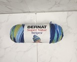 Bernat Super Value Yarn Meadow Stripes 5 Oz NEW - $10.00