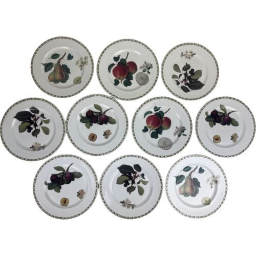 Primary image for 10 Queens Royal Horticultural Society Hooker's Fruit Salad Plates 8-3/8"
