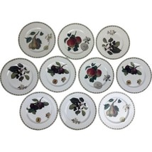 10 Queens Royal Horticultural Society Hooker&#39;s Fruit Salad Plates 8-3/8&quot; - $93.50