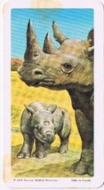 Brooke Bond Red Rose Tea Card #37 Black Rhinoceros Animals &amp; Their Young - $0.98