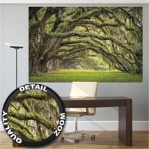 Great Art Mural Poster - Oak Avenue, Summer Forest, Mystic Trees 55&quot;x39.4&quot; - £29.20 GBP