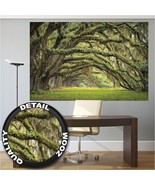 Great Art Mural Poster - Oak Avenue, Summer Forest, Mystic Trees 55&quot;x39.4&quot; - £28.84 GBP