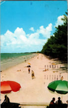 Pass-A-Grille Beach Florida, Blue Skies, Billow Clouds and Miles of White sand - £4.42 GBP
