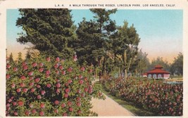 Roses Lincoln Park Los Angeles California CA Postcard C61 - £2.36 GBP