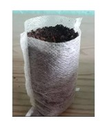 100 Starter Seed Bags Environment Friendly Degradable Seedling Bags for ... - £5.69 GBP