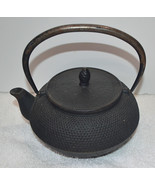 Cast Iron Teapot, # C – 1232, Japanese Teapot, Tea Pot Infuser - $32.70