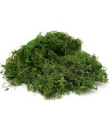Generic Usmola Fake Moss, Artificial Green Moss For Potted, 4Oz (Fresh G... - £23.57 GBP
