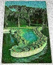 Esther Williams Swimming Pool Cypress Gardens Florida 50&#39;s? Chrome Postcard - £7.86 GBP