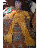 Men’s Forum Macho Lion Costume Adult Standard Fits Up To 42&quot; Muscular w/... - $368.94 MXN