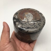 570g Round Shape Fossils Ammonite Brown Medium Jewelry Box @Morocco,MF590 - £20.45 GBP