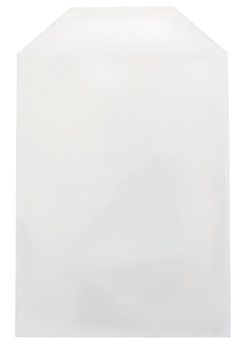 CPP Clear Plastic Sleeve with Flap (Fits 14mm DVD Case Artwork) - $15.28+