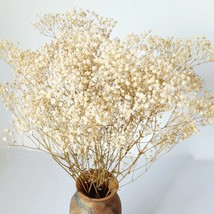 Dried-Babys-Breath-Flowers-Bouquet-17 Inch 2500+ Ivory White Flowers,, 3Oz - £25.57 GBP