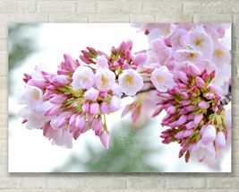 Cherry Blossoms, Abstract Floral, Nature, Fine Art Photo on Metal, Canvas, Paper - £27.57 GBP+