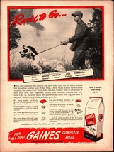 1945 Gaines Meal dog pet food RARIN TO GO HUNTING dog vintage ad E6 - £19.27 GBP