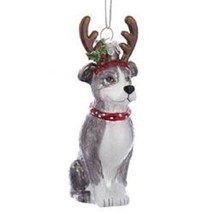 Glass Dog Pitbull Terrier w/Antlers Dog Breed Christmas Ornament - £13.42 GBP