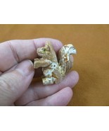 (Y-SQU-15) little red white SQUIRREL stone carving SOAPSTONE PERU love s... - €7,34 EUR