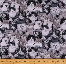 Cotton Cats Kittens Breeds Types Animals Fabric Print by the Yard D382.45 - £9.55 GBP