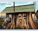 Cedar Stump Casa Everett Wa Washington Unp DB Cartolina Q8 - £8.15 GBP