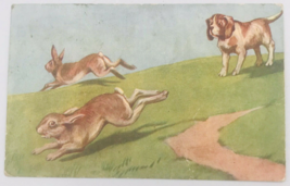 Antique 1908 Dog Chasing Two Rabbits Postcard Ben Franklin 1c Cancel - £6.84 GBP