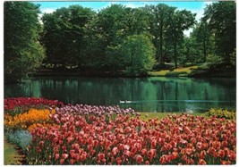 Holland Netherlands Postcard Blumenland Land Of Flowers - £1.66 GBP